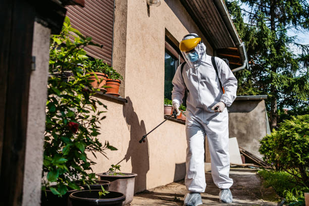 Best Pest Control for Businesses  in Foster City, CA
