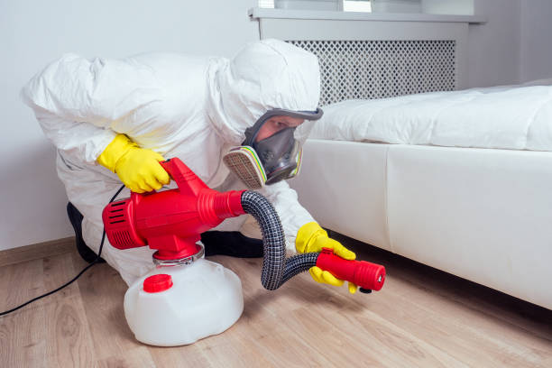 Best Best Pest Control Companies  in Foster City, CA