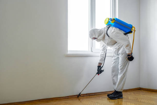 Best Commercial Pest Control Services  in Foster City, CA
