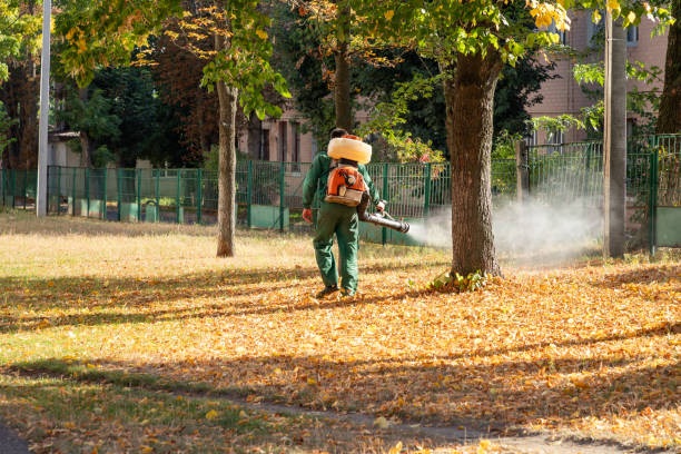 Best Mosquito Control Services  in Foster City, CA