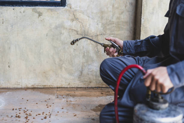 Professional Pest Control in Foster City, CA