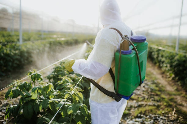 Best Pest Control Near Me  in Foster City, CA